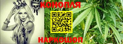 индика Можайск